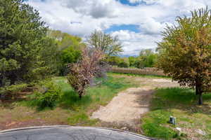 View of road