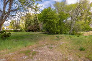 Photo 9 of 9768 N PHEASANT DR