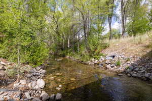 Yard backs to the American Fork River
