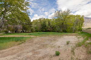 Photo 8 of 9768 N PHEASANT DR