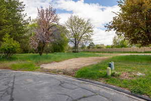 Photo 6 of 9768 N PHEASANT DR