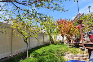 Mature, fruit producing trees