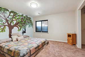 Secondary basement bedroom