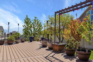 View of wooden terrace