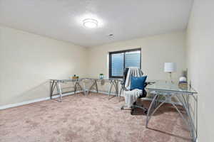 Secondary basement bedroom