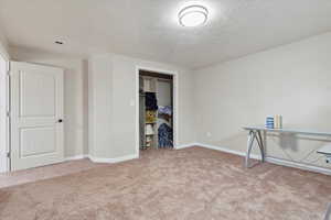 Secondary basement bedroom