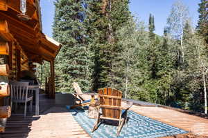 Photo 23 of 9290 E BOBCAT HAVEN LN