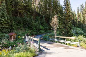 Photo 44 of 9290 E BOBCAT HAVEN LN