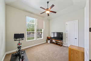 Workout room with baseboards, ceiling fan, carpet, and visible vents
