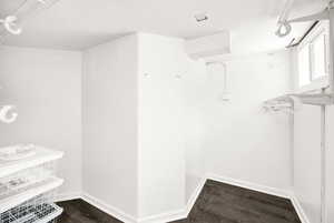 Spacious closet featuring wood finished floors