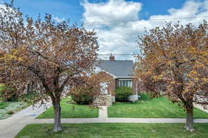 View of property hidden behind natural elements featuring a shingled roof, a chimney, brick siding, and a front yard