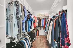 Spacious closet featuring carpet floors