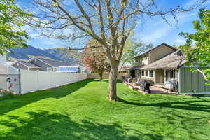 View of yard with a mountain view, a fenced backyard, and a patio area