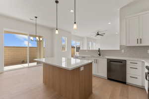Kitchen with white cabinets, a sink, light wood finished floors, tasteful backsplash, and stainless steel dishwasher