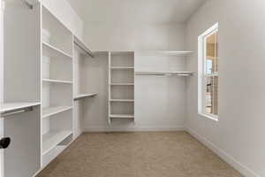 Walk in closet with carpet