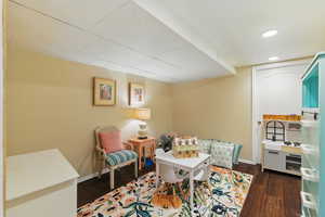 Storage Room/Play Room