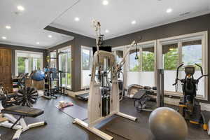 Workout area featuring baseboards, ornamental molding, recessed lighting, and visible vents