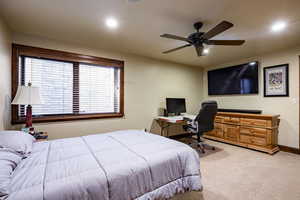 Photo 46 of 8777 S FALCON HEIGHTS LN