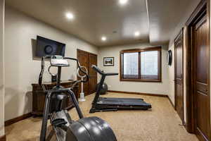 Photo 49 of 8777 S FALCON HEIGHTS LN