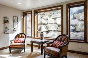 Photo 31 of 8777 S FALCON HEIGHTS LN