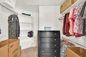 Spacious closet featuring attic access and carpet
