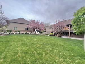View of yard with a patio and a deck