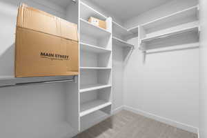 Spacious closet featuring carpet flooring
