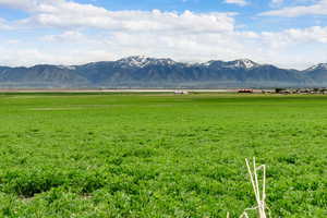 Property view of mountains featuring a rural view
