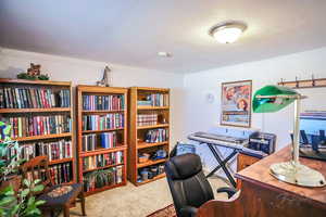 Carpeted home office with a textured ceiling