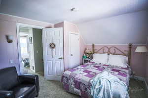 Carpeted bedroom featuring lofted ceiling
