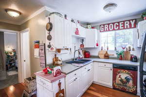 Kitchen featuring a sink, dishwashing machine, ornamental molding, white cabinetry, and dark wood-type flooring