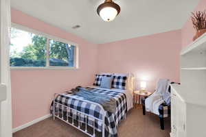 Bedroom lower level with daylight window