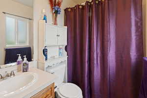 Full bathroom featuring vanity, toilet, and a shower with curtain