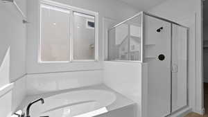 Bathroom featuring a bath and a stall shower