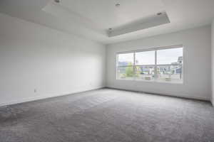 Carpeted spare room with a raised ceiling and baseboards