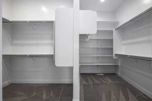 Spacious closet featuring dark carpet