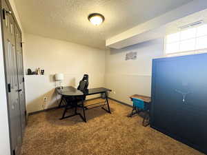 Office space with carpet floors, a textured ceiling, visible vents, and baseboards