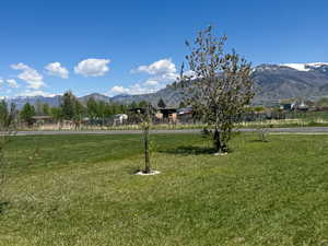Surrounding community with a lawn, fence, and a mountain view