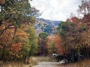 Property view of mountains