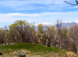 View of landscape with a mountain view