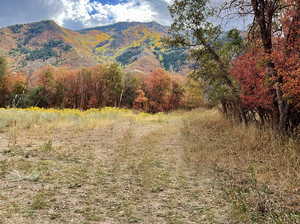 View of mountain feature