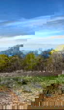 View of local wilderness