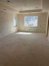 Unfurnished room with a raised ceiling and a healthy amount of sunlight