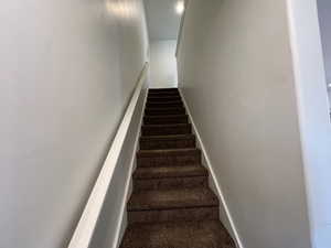 Stairs featuring carpet floors