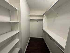 Spacious closet featuring dark wood-type flooring