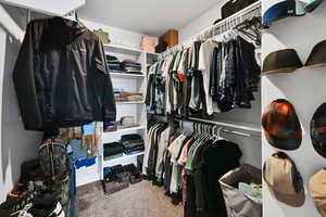 Spacious closet with carpet