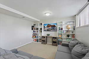 Carpeted living area featuring baseboards and a textured ceiling