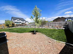 Backyard facing East