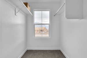 Spacious closet featuring carpet floors
