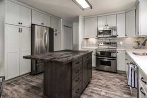 Updated Kitchen featuring backsplash, stainless steel appliances, dark wood-style LVP floors, and a sink